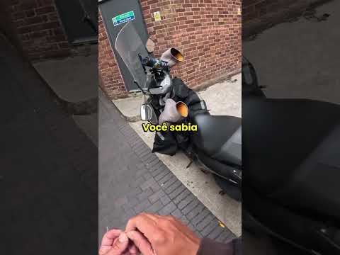 ELE TRAVOU A BUZINA DA MOTO DO AMIGO! 😂 #shorts #curiosidades