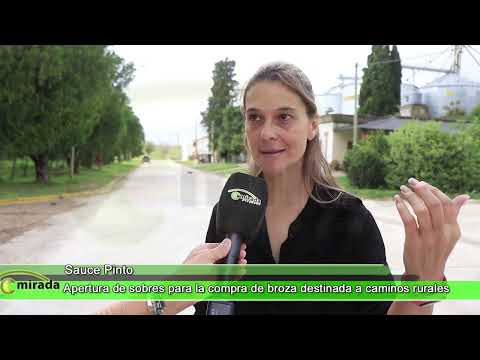 SAUCE PINTO - ENTRE RÍOS