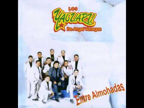 Los Yaguaru - Amor Sin Primavera (Audio)