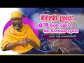 piyum-vila-04-09-2019