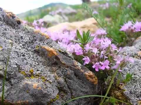 Minje+-+zuudend+urgasan+ter+mini