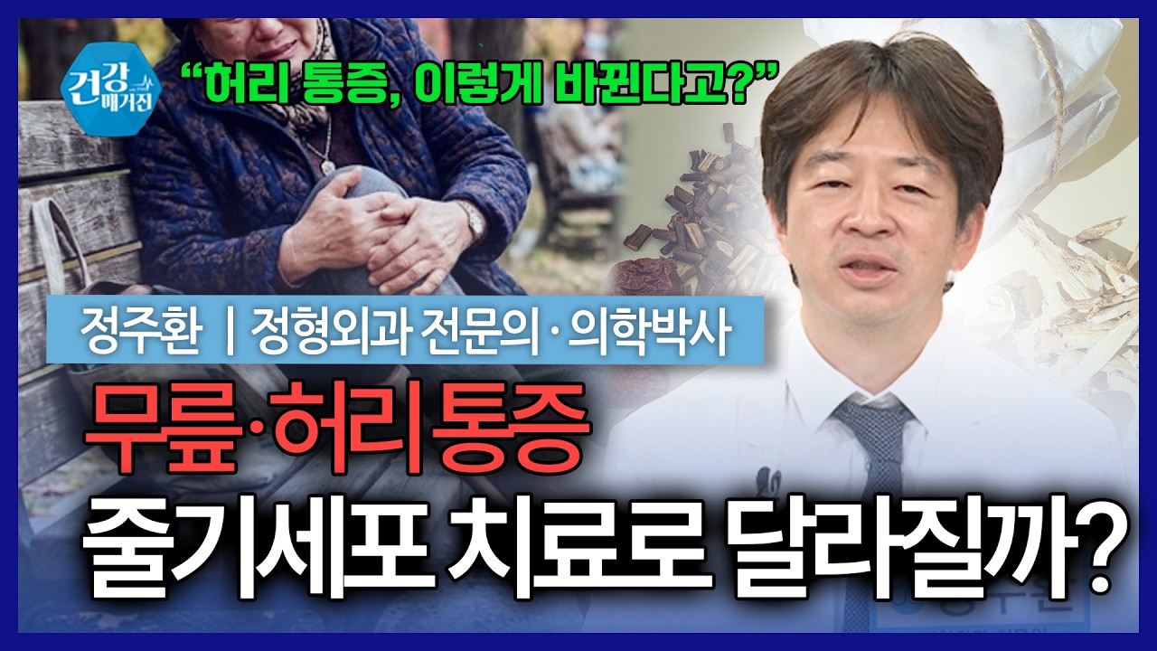 무릎·허리 통증 계속된다면? 줄기세포 치료 효과와 주의사항 [건강매거진]