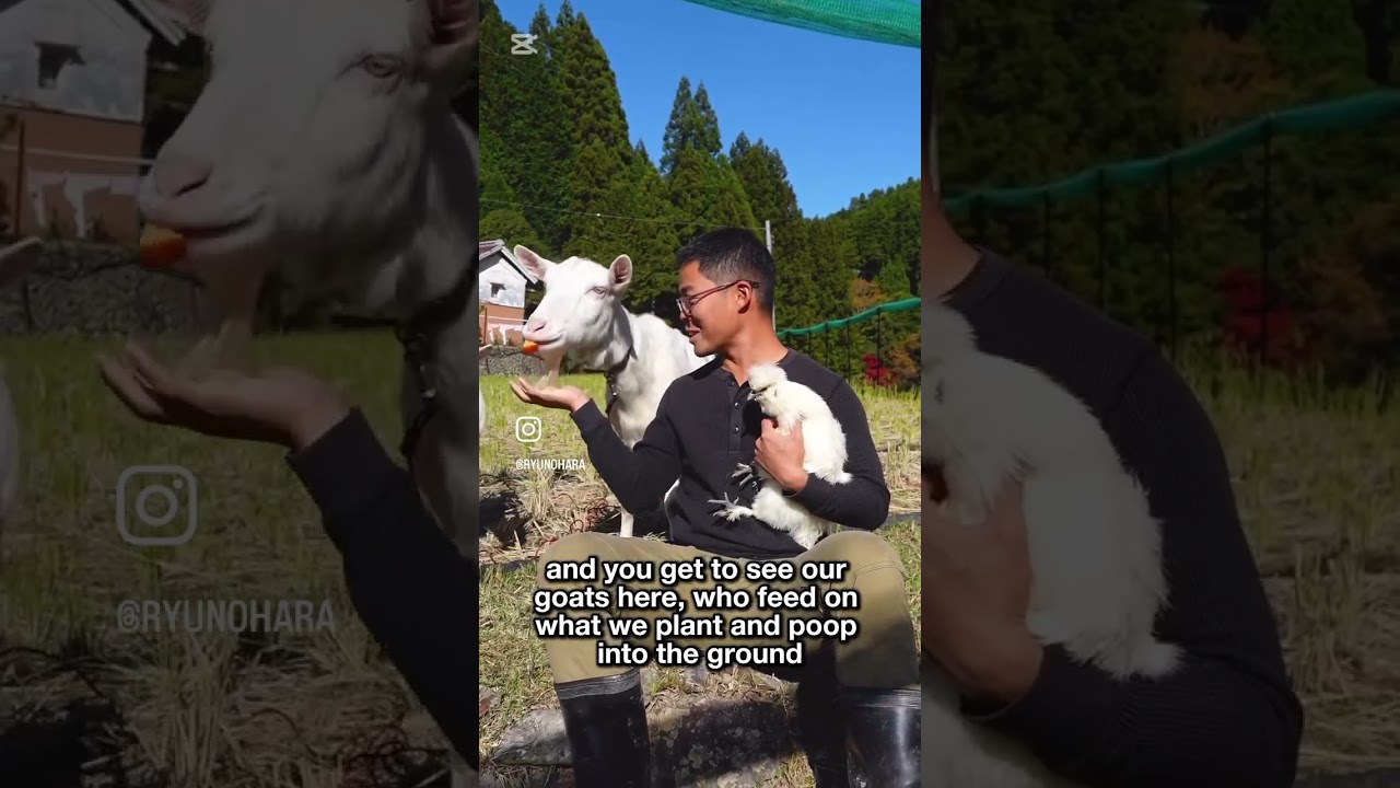 Rediscover your connection with the Earth