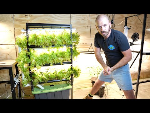 DIY Home Hydroponics: Indoor Vertical System Set Up & Timelapse