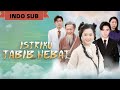 CEO Terlebih Dahulu Menikah Kemudian Jatuh Cinta Gadis Yang Dijodohkan Ternyata Gadis Yg Aku Cari