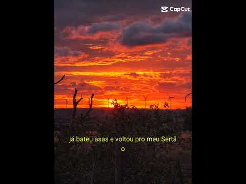 Caetés pe saudade