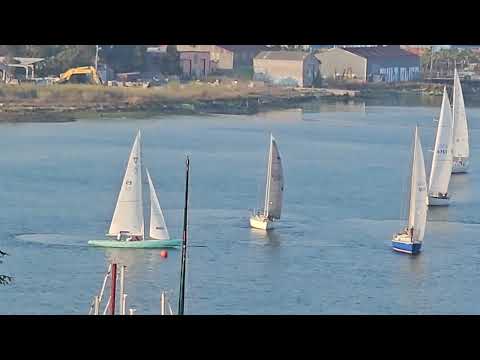 OYC-S16-3Starts-2023