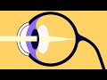 How the eyes work - Lesson 6, Unit 6.1 Light & Matter