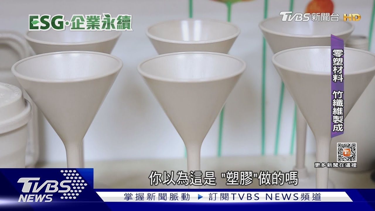 賣8棟房!燒光資金 大廠苦蹲30年「竹纖維變綠金」