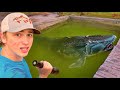 I Caught The Worlds DEADLIEST Fish In An Abandoned Pool