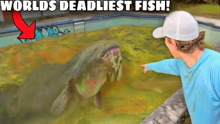 I Caught The Worlds DEADLIEST Fish in an Abandoned Pool!