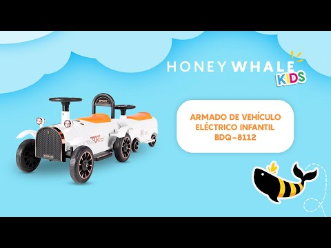 Armado del equipo BDQ-8112