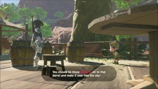 Zelda Breath Of The Wild | Balloon Flight Side Quest