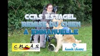 La Catalane Handichiens Soirée de remise officielle d’Impoo