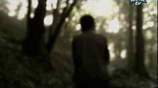 Spaceman - Verdena (video musicale)