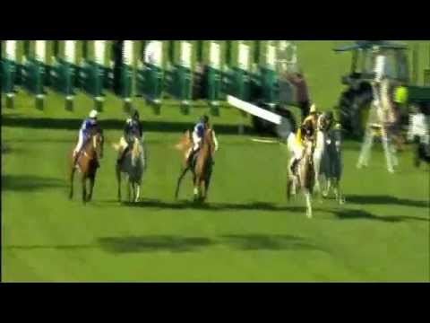 HH Sheikh Zayed Bin Sultan Al Nahyan Cup  Moonee Valley 27/1/2012