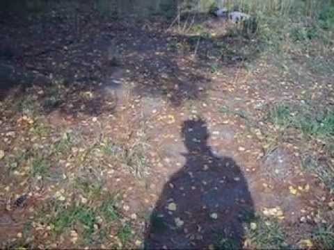 Nikad spremni - Pokaži mi svet