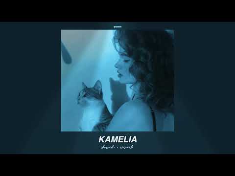 📹 akcent - kamelia (slowed + reverb) // feat. lidia buble & ddy nunes