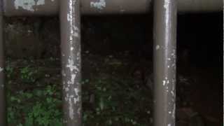 preview picture of video 'Hokkaido Rausu Luminous moss／羅臼 不思議に光るマッカウス洞窟のヒカリゴケ'