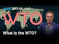 Ian Explains: What is the World Trade Organization? | GZERO World