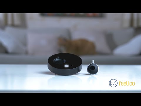 Feelloo GPS et activité - Chat