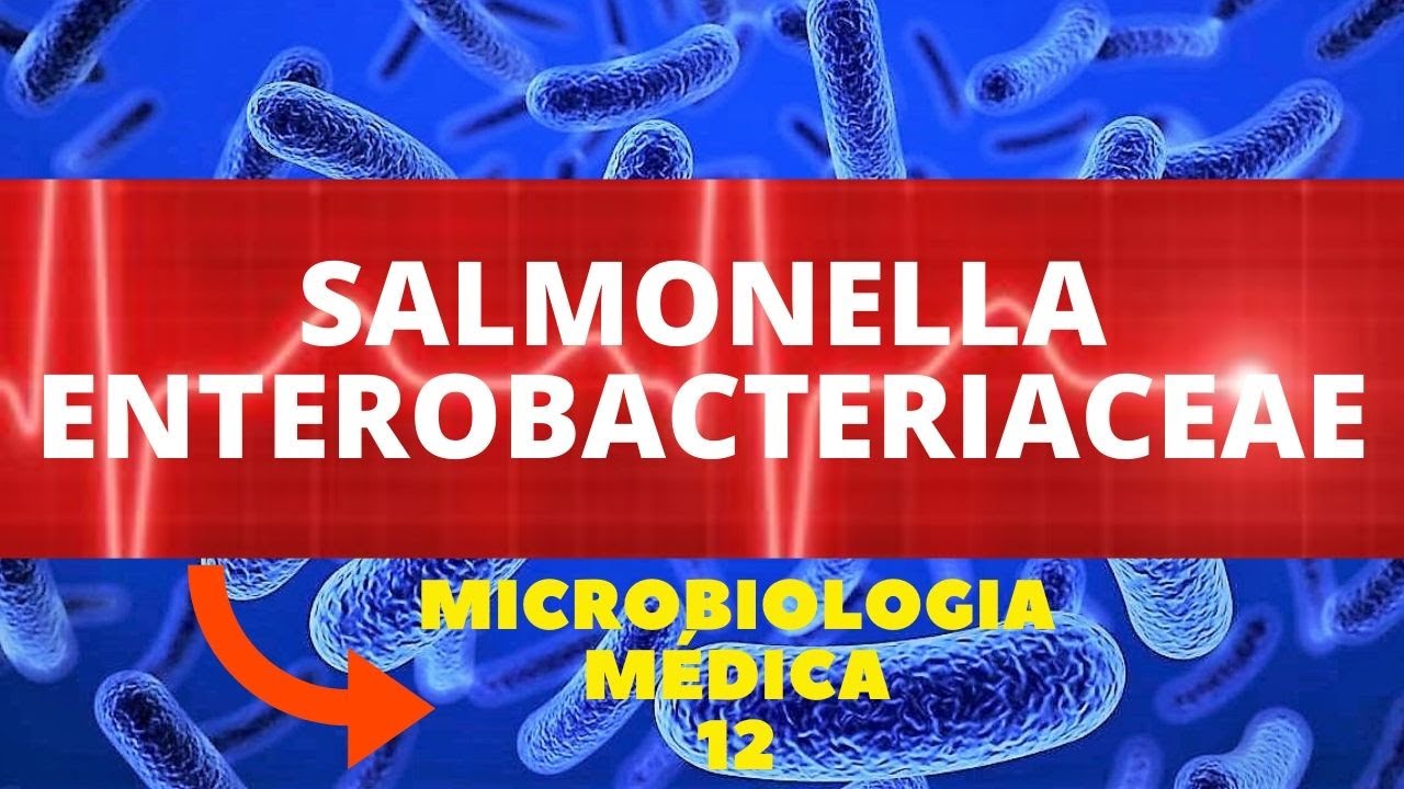 SALMONELLA ENTEROBACTERIACEAE - MICROBIOLOGIA MÉDICA - AULA 12