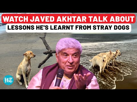 Watch Javed Akhtar Talk About Lessons He's Learnt From Stray Dogs