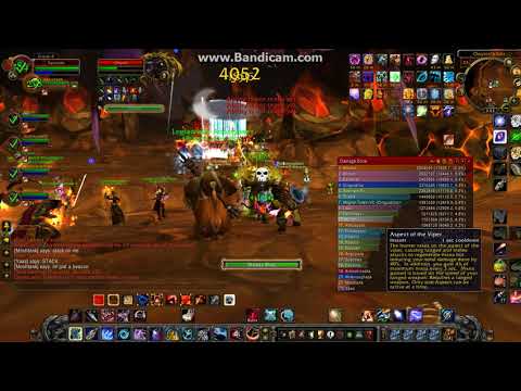 Onyxia 25 Hunter's Pet Main Tank