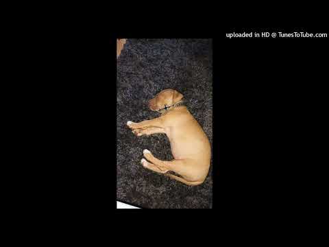 Chaum, Hobin Rude - Cressida (Tonaco Remix)