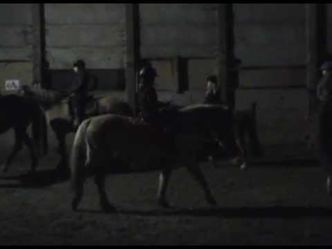 AMY met FLICKA Stal Leon