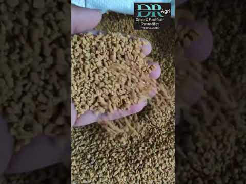 Natural fenugreek seeds methi dana, packaging type: loose