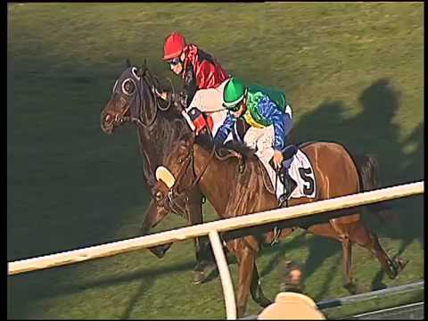 Galoppo 07/12/2016 - 1ª corsa