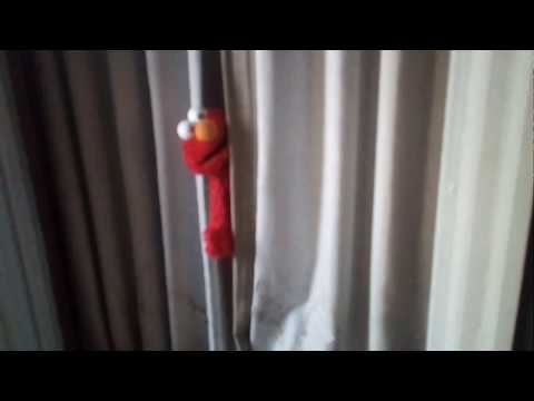 Elmo gets cat fart to the face