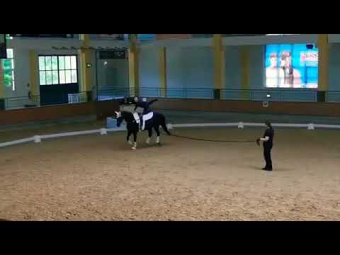 S-Pflicht | Stadl-Paura 2021