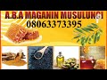 Maganin Rashin Haihuwa Namiji Da Mace Daga Bakin Dr Abdulwahab Abubakar Gwani ABAMagungunaAmusulunci
