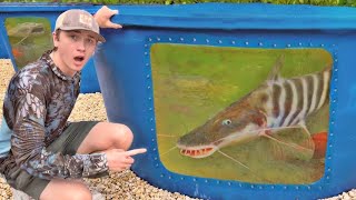 I Bought the World’s RAREST Aquarium Fish!