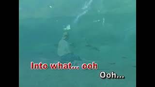 AVSEQ13 Game Of Love - Santana feat. Michelle Branch | Star Records