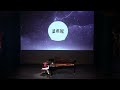 Beethoven Fur Elise Nightmare Standing Ovation