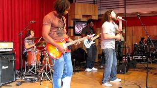 Orange Grove *white daisy