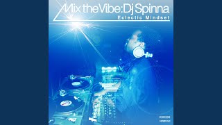 Mix The Vibe: Eclectic Mindset (Continuous DJ Mix)