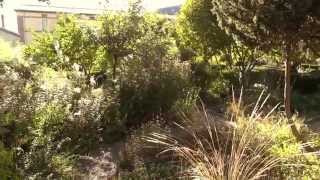 preview picture of video 'Jardin Botanique des Cordeliers - Digne les Bains'
