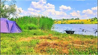 Что такое сигнализаторы для рыбалки в украине