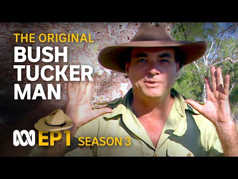 Disaster that changed aviation forever 🤠 ️ Bush Tucker Man S3 EP1 ABC Australia