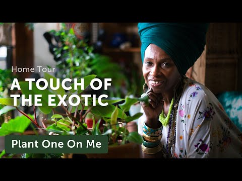 HOUSEPLANT HOME TOUR with an EXOTIC Touch — Ep. 237