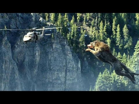 Giant Wolf Attack Scene - Wolf Vs Helicopter - Rampage (2018) Movie Clip HD In Hindi