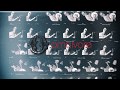 Omnivore Sandy Bull Steel Tears trailer