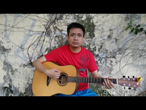Biomic Soldier by Takayuki Miyauchi - Bioman Ending Theme Song (Acoustic Cover)