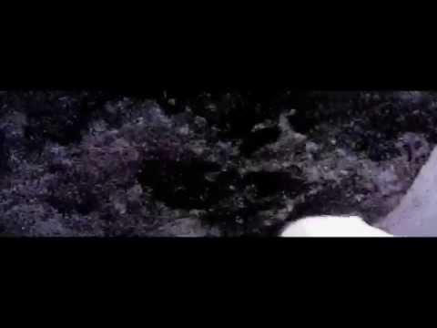 JEEMBO X PHARAOH X BONES - Ribs