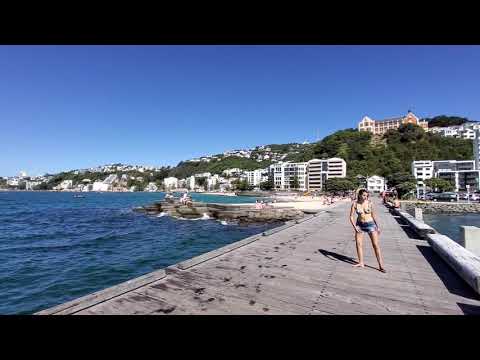 Wellington waterfront close to Oriental Bay