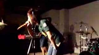 Polaroid-Understanding